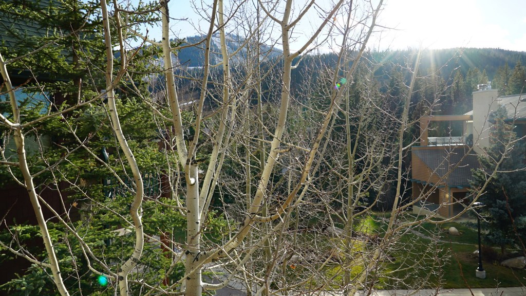 Mountain View From the Balcony